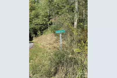 94 Locust Grove Lane, Weaverville, NC 28787 - Photo 8