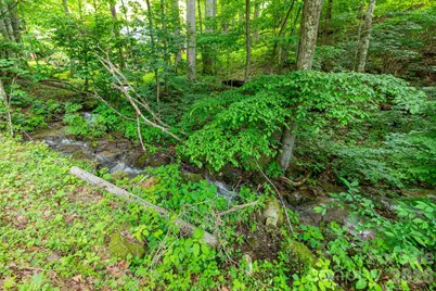 Tbd Woodfin Road, Sylva, NC 28779 - Photo 4