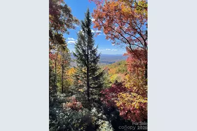 425 Flat Top Mountain Road, Fairview, NC 28730 - Photo 46