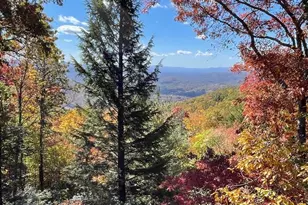 425 Flat Top Mountain Rd, Fairview, NC 28730 - Photo 46