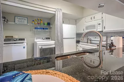 20105 Henderson Road #E, Cornelius, NC 28031 - Photo 10