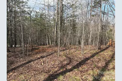 0 Valley Drive #142, Rutherfordton, NC 28139 - Photo 6