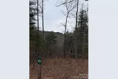 0000 Silverglen Way, Hendersonville, NC 28792 - Photo 6