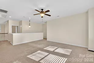 300 Woodward Ridge Dr, Mount Holly, NC 28120 - Photo 26