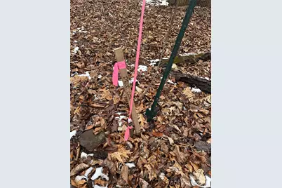 #167 Rolling Road, Lincolnton, NC 28092 - Photo 2