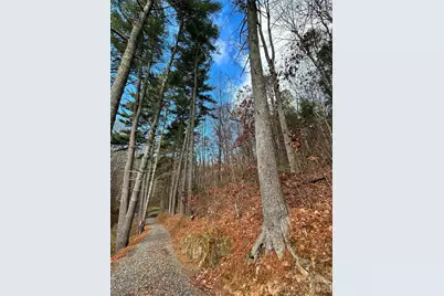 99999 Cowan Cove Road, Asheville, NC 28806 - Photo 1