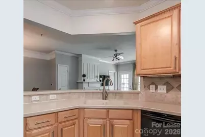 14660 Via Sorrento Drive, Charlotte, NC 28277 - Photo 10