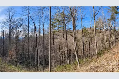 27 Bent Branch Lane #10, Asheville, NC 28804 - Photo 16