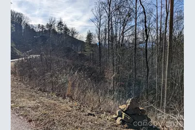 27 Bent Branch Lane #10, Asheville, NC 28804 - Photo 10