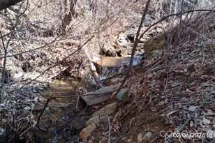 337 Red Bank Rd, Waynesville, NC 28786 - Photo 8