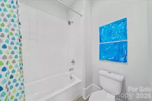 1521 Half Pint Loop, Fort Mill, SC 29708 - Photo 34