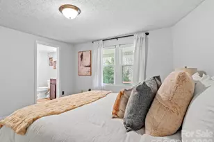 16180 US Hwy 19W Hwy, Green Mountain, NC 28740 - Photo 8