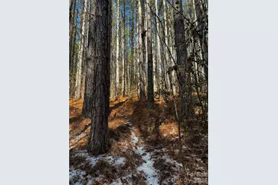 0 Painters Gap Road, Union Mills, NC 28167 - Photo 18