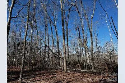 0 Painters Gap Road, Union Mills, NC 28167 - Photo 6