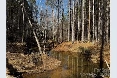 0 Painters Gap Road, Union Mills, NC 28167 - Photo 26