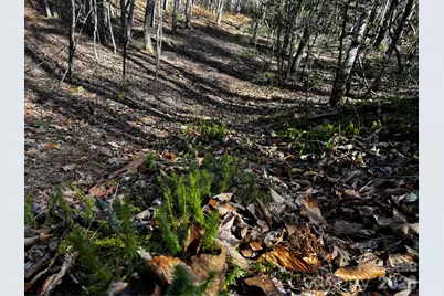 0 Painters Gap Road, Union Mills, NC 28167 - Photo 28