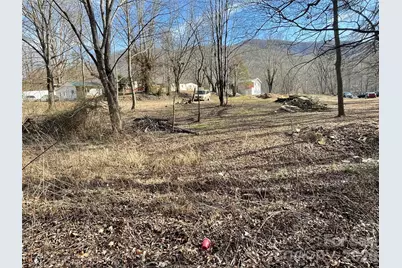 000 Max Metcalf Road, Swannanoa, NC 28778 - Photo 4