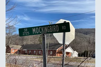 000 Max Metcalf Road, Swannanoa, NC 28778 - Photo 14