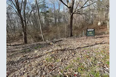 000 Max Metcalf Road, Swannanoa, NC 28778 - Photo 10