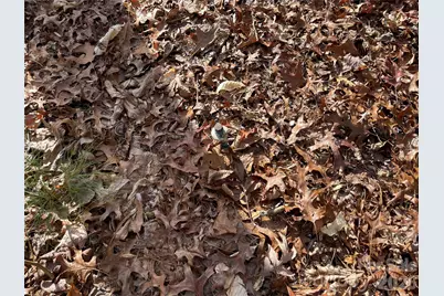 218 Max Metcalf Road, Swannanoa, NC 28778 - Photo 4