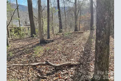 220 Max Metcalf Road, Swannanoa, NC 28778 - Photo 6