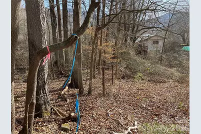 220 Max Metcalf Road, Swannanoa, NC 28778 - Photo 8