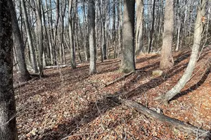 220 Max Metcalf Rd, Swannanoa, NC 28778 - Photo 1