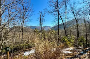 000 Silverglen Way, Hendersonville, NC 28792 - Photo 1