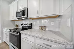 516 Madison Falls Ct, Fort Mill, SC 29708 - Photo 10