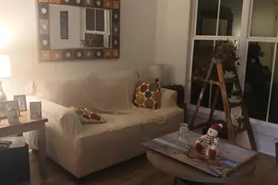 217 Williams Rescue Rd, Indian Trail, NC 28079 - Photo 4