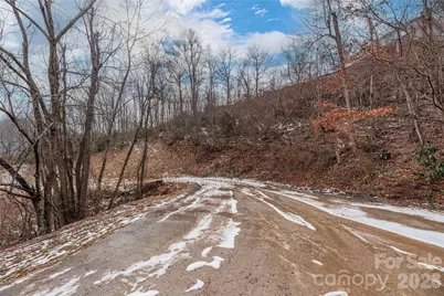 391 Valley View Drive, Maggie Valley, NC 28751 - Photo 10