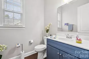 4008 Pinot Way, Fort Mill, SC 29707 - Photo 18