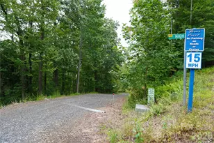 0000 High Peak Dr, Burnsville, NC 28740 - Photo 4