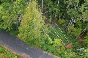 0000 High Peak Dr, Burnsville, NC 28740 - Photo 12