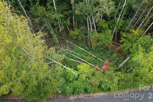 0000 High Peak Dr, Burnsville, NC 28740 - Photo 10