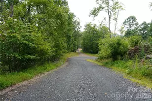 0000 High Peak Dr, Burnsville, NC 28740 - Photo 6