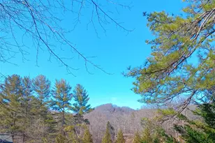 61 White Dogwood Ln, Lake Junaluska, NC 28745 - Photo 38