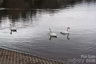 61 White Dogwood Ln, Lake Junaluska, NC 28745 - Photo 38