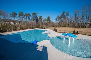 4630 Maiden Crk Wy, Maiden, NC 28650 - Photo 48
