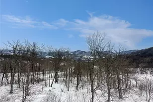 102 Sugar Ski Dr, Sugar Mountain, NC 28604 - Photo 4