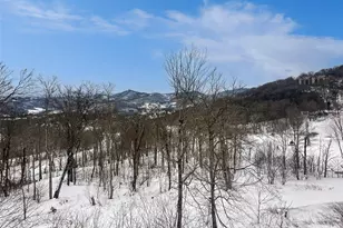 102 Sugar Ski Dr, Sugar Mountain, NC 28604 - Photo 24