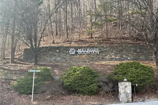 700 Summit Rd, Tryon, NC 28782 - Photo 2