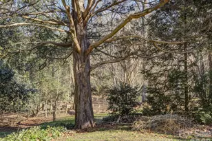 1933 Brookdale Ave, Charlotte, NC 28210 - Photo 40