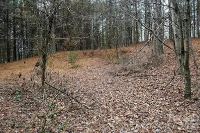 3727 Mt Beulah Road, Sherrills Ford, NC 28673 - Photo 8
