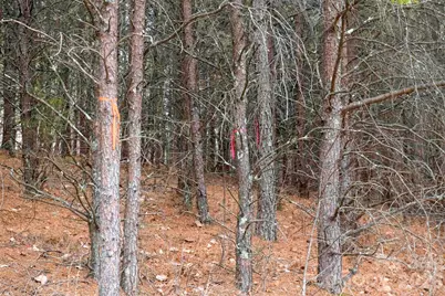 3727 Mt Beulah Road, Sherrills Ford, NC 28673 - Photo 12