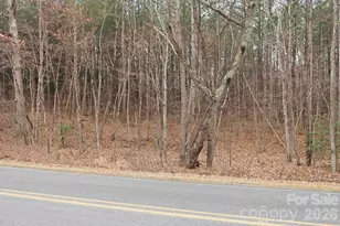 3727 Mt Beulah Rd, Sherrills Ford, NC 28673 - Photo 1