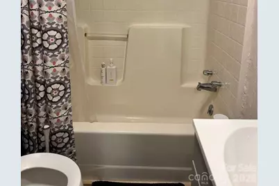 9 Alzena Road, Sylva, NC 28779 - Photo 32