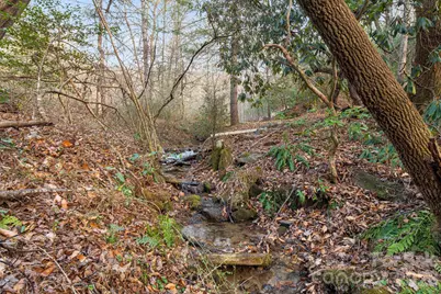 0000 Red Eft Way, Horse Shoe, NC 28742 - Photo 6