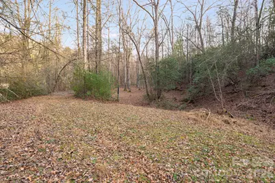0000 Red Eft Way, Horse Shoe, NC 28742 - Photo 4
