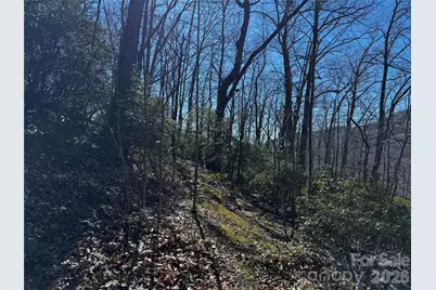 Tbd Acacia Court #936, Black Mountain, NC 28711 - Photo 18